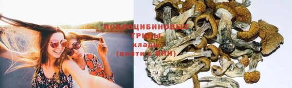 мет Белокуриха